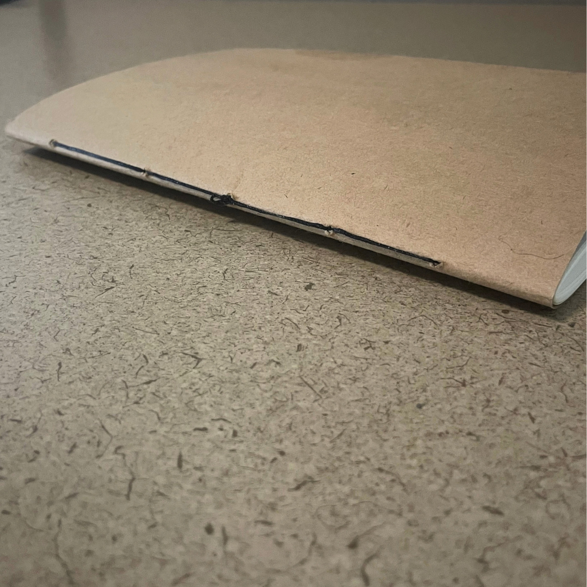 The Driftwood Beam — Handmade Artist Book | Limited Edition of 52 - Image 5